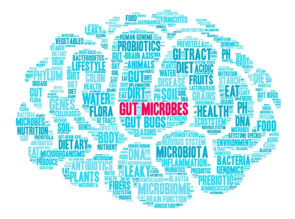 Microbios intestinales Word Cloud — Vector de stock