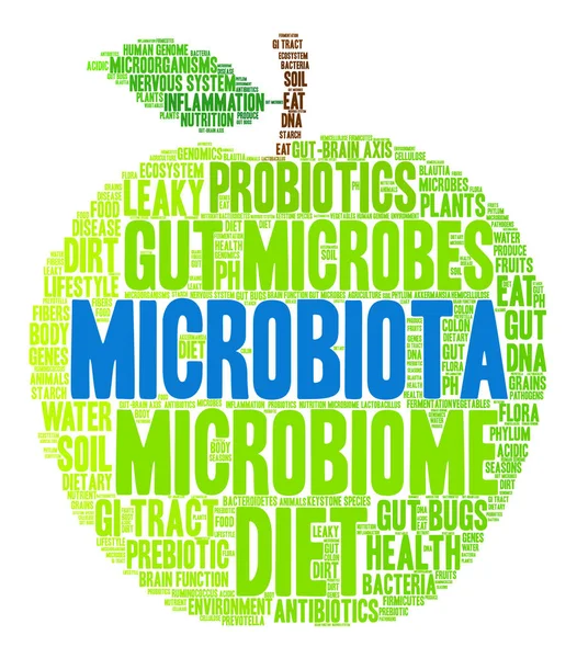 Nube de Word de la microbiota — Vector de stock