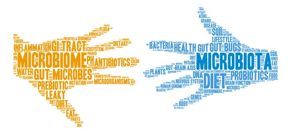 Microbiota palavra nuvem —  Vetores de Stock