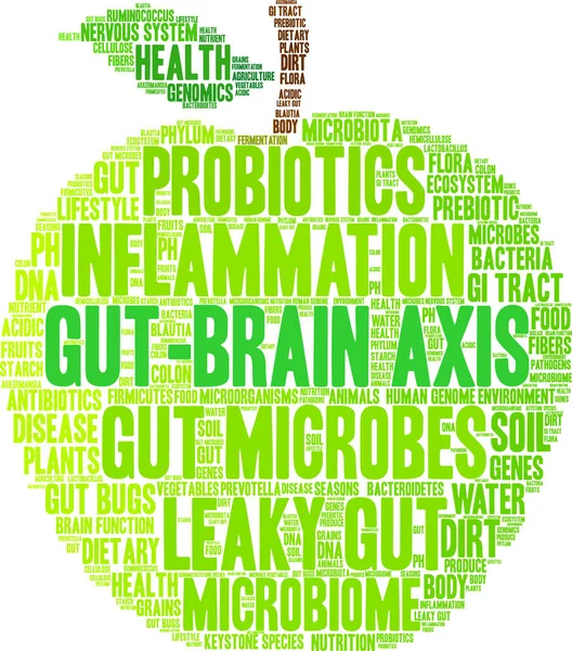 Nube de palabras de Eje Cerebro-Intestino — Vector de stock