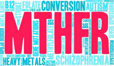 Mthfr Kelime Bulutu