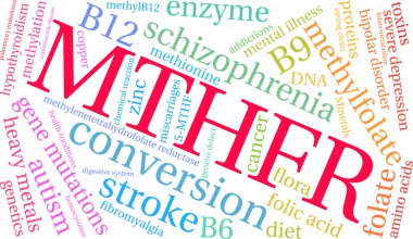 Mthfr Kelime Bulutu