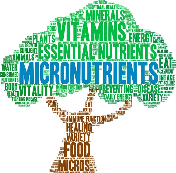 Micronutrientes Word Cloud — Archivo Imágenes Vectoriales