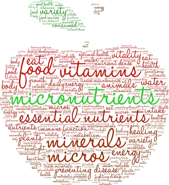 Micronutrientes Word Cloud — Vector de stock