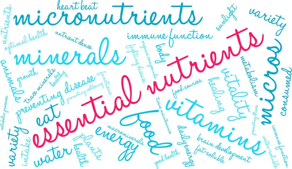 Nutrientes esenciales Word Cloud — Vector de stock