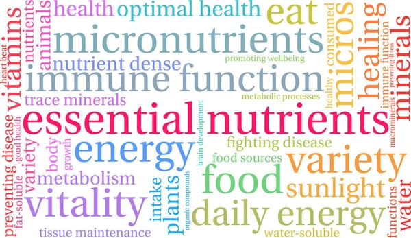 Nutrientes esenciales Word Cloud — Vector de stock