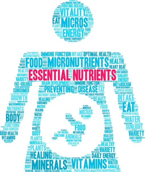 Nutrientes esenciales Word Cloud — Vector de stock