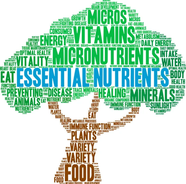 Nutrienti essenziali Word Cloud — Vettoriale Stock