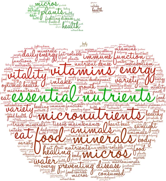 Nuage de mots sur les nutriments essentiels — Image vectorielle