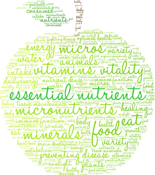 Nutrientes esenciales Word Cloud — Vector de stock