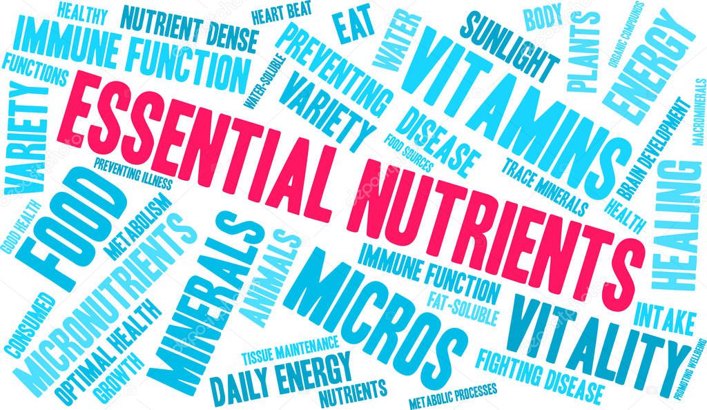 Essential Nutrients Word Cloud 