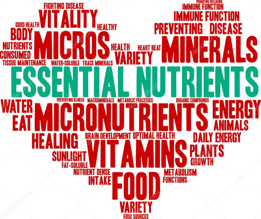 Essential Nutrients Word Cloud 