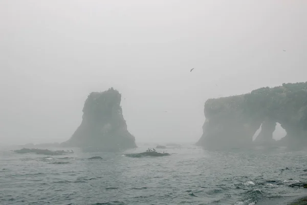 Foreland Olbrzym Velikan Wyspie Sakhanin Daleki Wschód Rosji Mglistej Pogody — Zdjęcie stockowe
