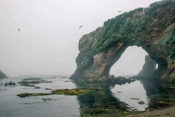 Foreland Giant Velikan Ostrově Sakhanin Dálného Východu Ruska Mlhavé Počasí — Stock fotografie