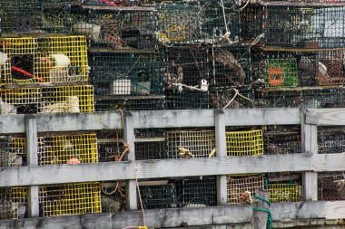 Şamandıralı ıstakoz tuzakları