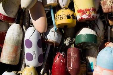 ıstakoz tuzağı şamandıralar