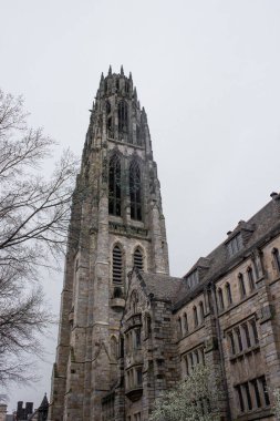 Yale Kampüsü, Çan Kulesi