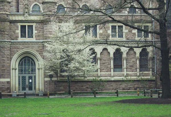 Yale Campus, Régi Udvar — Stock Fotó