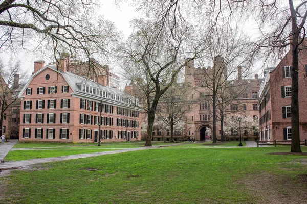 Yale Campus, Old Courtyard Стокова Картинка