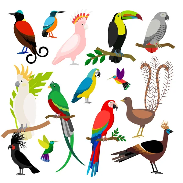 Exotic tropical birds set