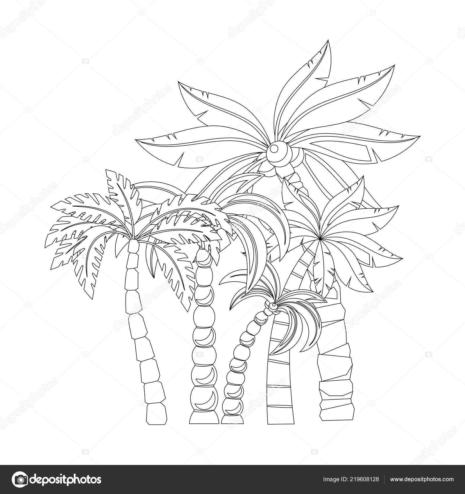 98 Top Coloring Book Pages Palm Tree Download Free Images 98 Top Coloring Book Pages Palm Tree Download Free Images