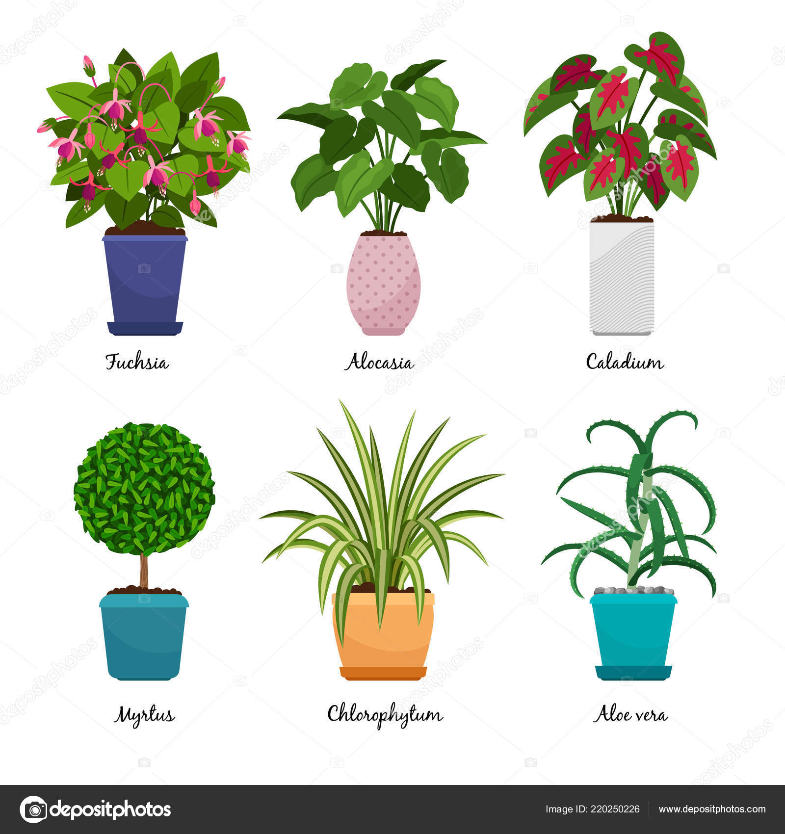https depositphotos com 220250226 stock illustration cartoon houseplants in pots html