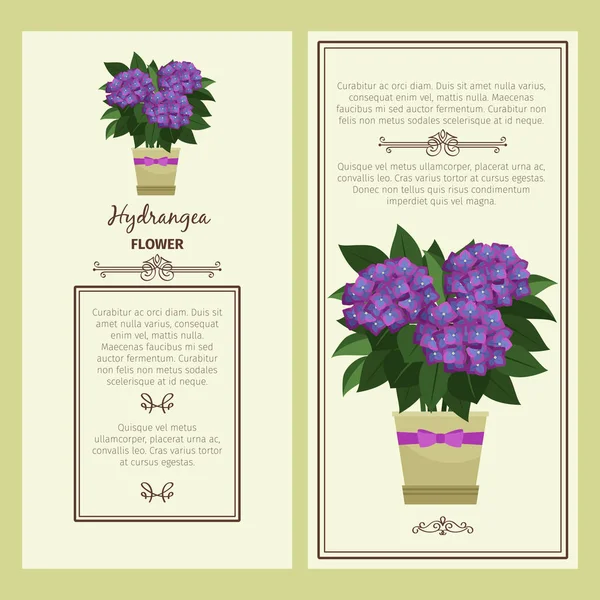 Hydrangea flower in pot banners
