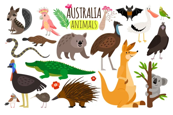 Australian animals. Vector animal icons of Australia, kangaroo and koala, wombat and ostrich emu Royalty Free Stock Vectors