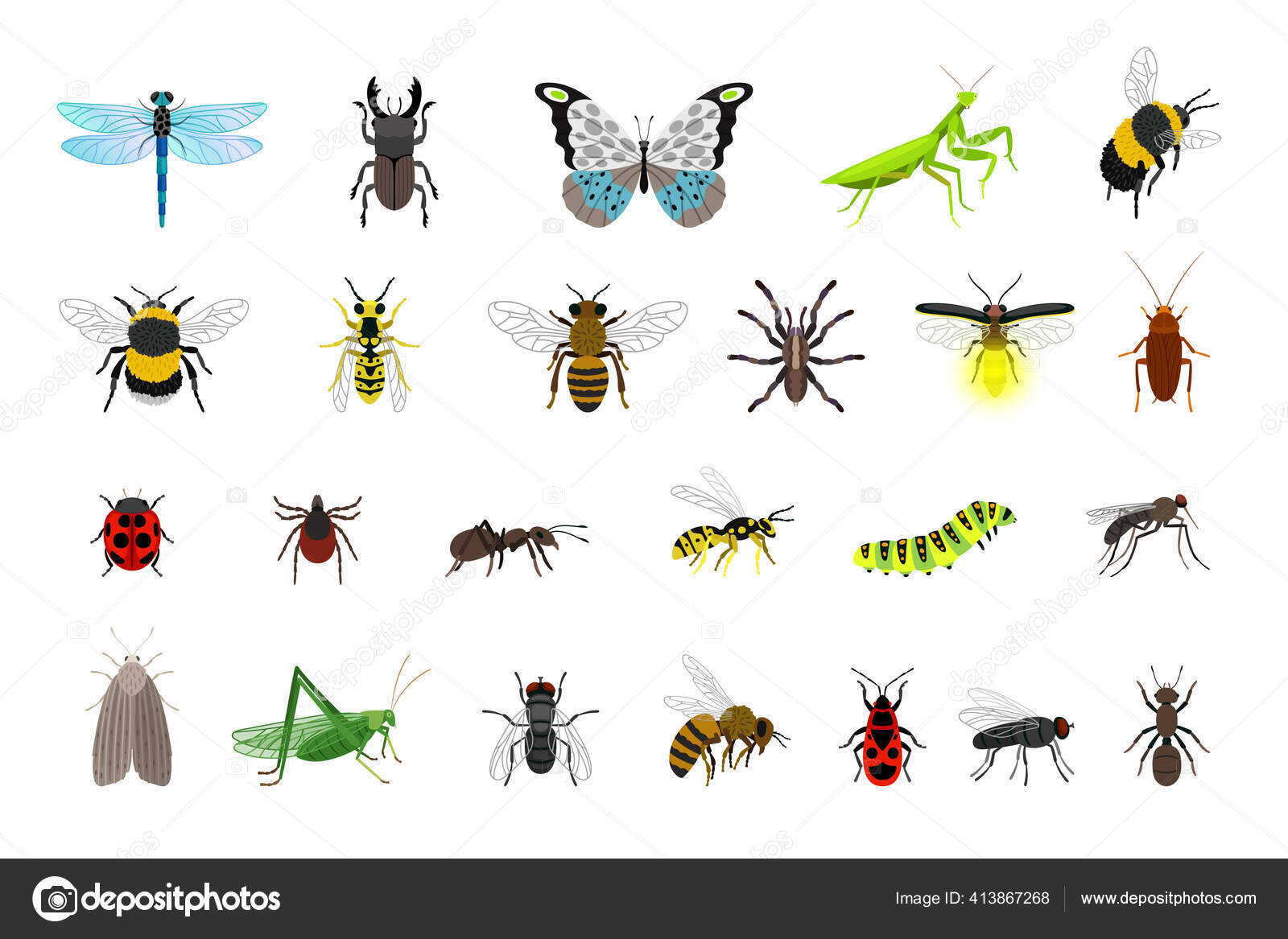 かわいい昆虫コレクション ストックベクター C Ssstocker
