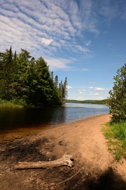 Kanada Algonquin İl Parkı 'ndaki Doğu Sahili Piknik Bölgesi' nde Madawaski Nehri 'nin yaz manzarası 