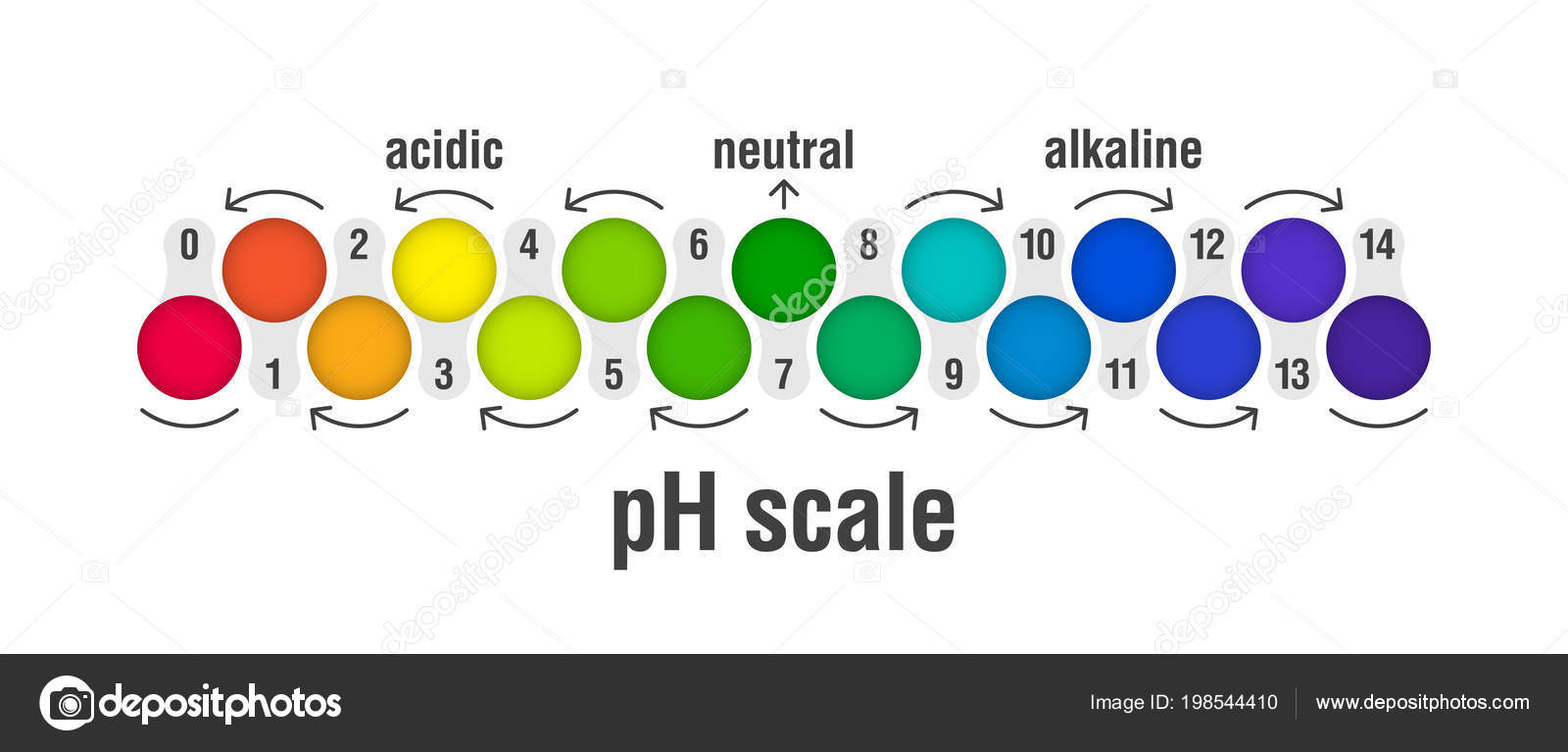 Ph Value Chart Of Acids And Bases