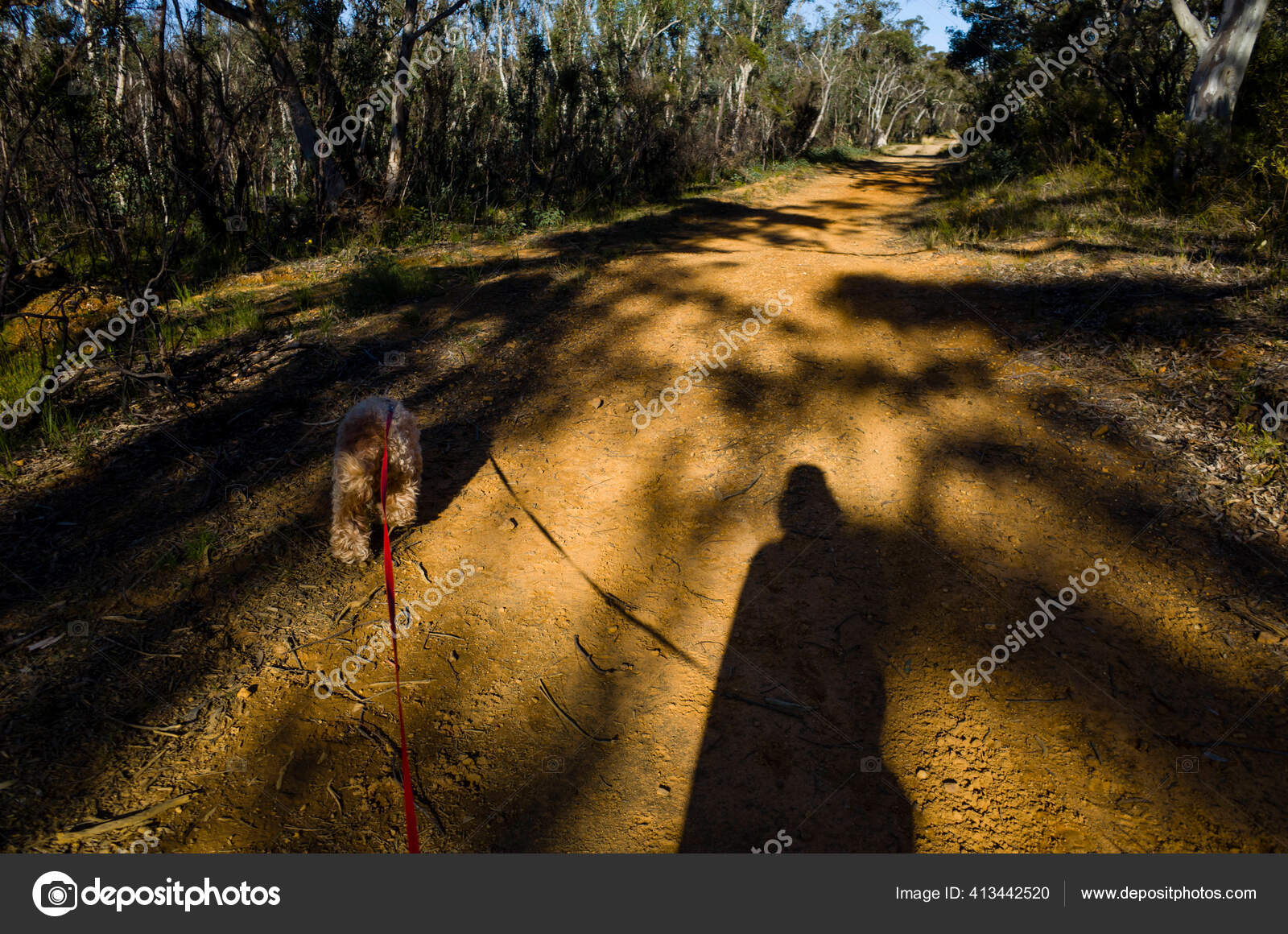 Photo Man Walking Nature Path Australian Sunny Stock Photo by ©jaaske 413442520