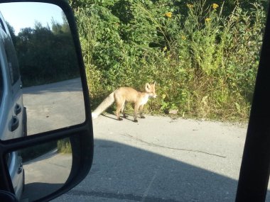 Bulutumda iyi fotoğraflar