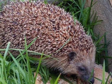 Bulutumda iyi fotoğraflar