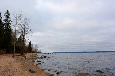 Bulutlu bir günde göl kenarındaki ağaçlar