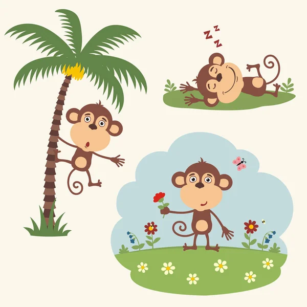 Conjunto Personagens Desenhos Animados Bonitos Macacos Desfrutando Verão Diferentes Poses —  Vetores de Stock
