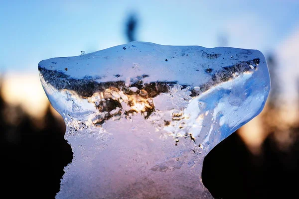 夕日でぼやけフォレストの背景上の透明な氷 — ストック写真
