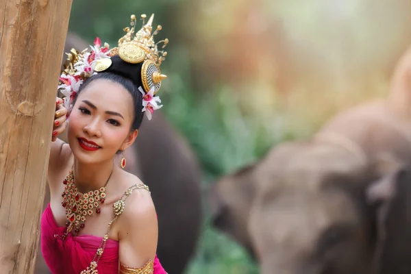 美丽的泰国女孩在传统的泰国服装触摸与大象背景的树 — 图库照片