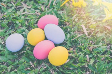 Yeşil çimenler üzerinde paskalya yumurtaları üst görünümü. Tatil konsepti.
