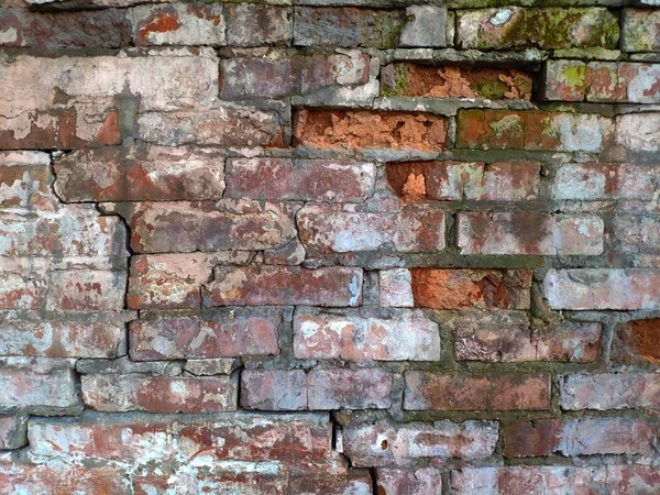 Old red brick wall with a crack and white spots and moss, background or concept