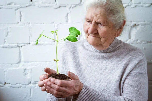 Weltumwelttag und Umweltschutzkonzept, freiwillige Frauen, die Pflanzen anbauen, Bäumchen — Stockfoto