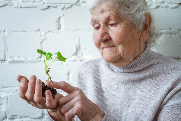 Wereld milieu dag en sla het concept van de omgeving, vrijwilligers vrouwen houden plant groeit, plantgoed — Stockfoto