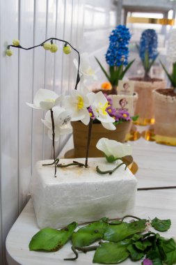 Güzel bir çikolatalı pasta 8 Mart Dünya Kadınlar Günü sümbül ile dekore edilmiş mor ve beze den gül.