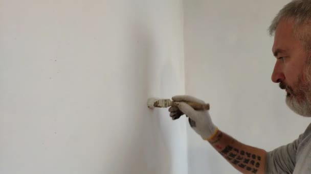 Homem Barbudo Pintando Paredes Interiores Plano Usando Pincel Pintura Bonito — Vídeo de Stock