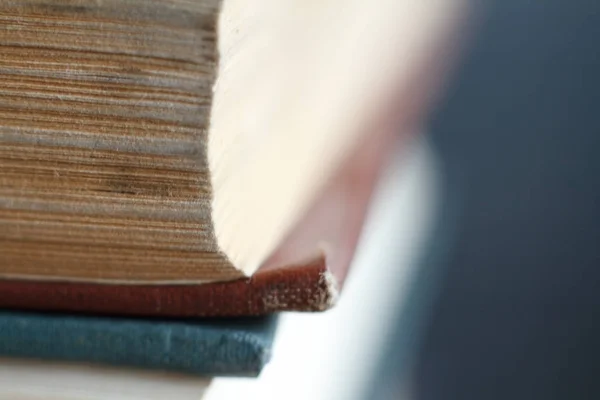 Extreme close-up of a stack of old books, yellowed pages, a broken back of a book against a gray bookcase, soft focus.