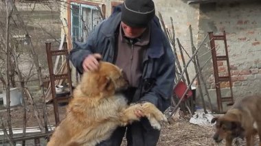 Yaşlı fakir kıyafetler giyen çok yaşlı bir adam evini koruyan büyük bir köpekle oynuyor.
