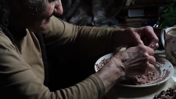 一位年老的病妇女分析剩菜做饭 在农场的生活 生活在贫困线以下 一个被遗弃的村庄 — 图库视频影像