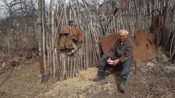 남자가 염소를 먹이는 의자에 있습니다 마을에서의 경제의 — 비디오