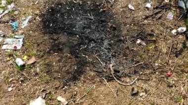 Ormanda yere bir sürü çöp düşüyor. Çevre kirliliği sorunu. Plastik ve çöp ile çevre kirliliği.