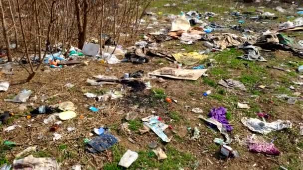 Ormanda Yere Bir Sürü Çöp Düşüyor Çevre Kirliliği Sorunu Plastik — Stok video